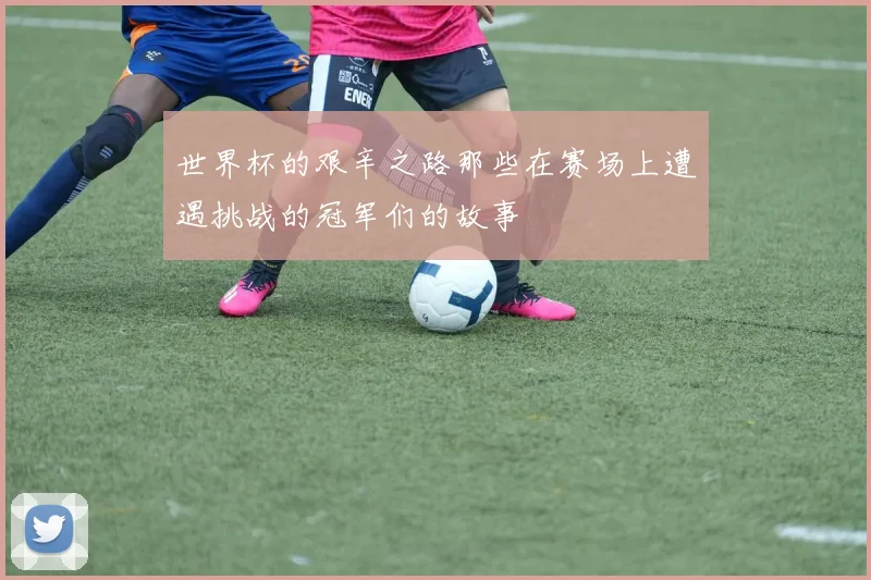 世界杯的艰辛之路那些在赛场上遭遇挑战的冠军们的故事