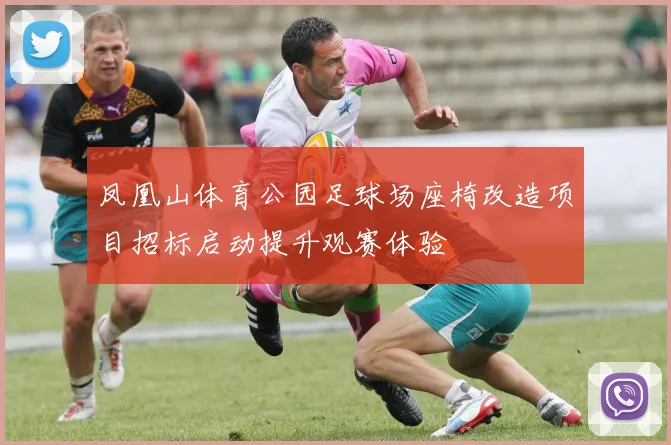 凤凰山体育公园足球场座椅改造项目招标启动提升观赛体验